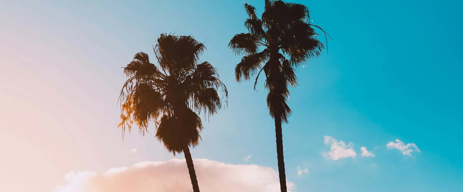 Subscribe to Our Newsletter