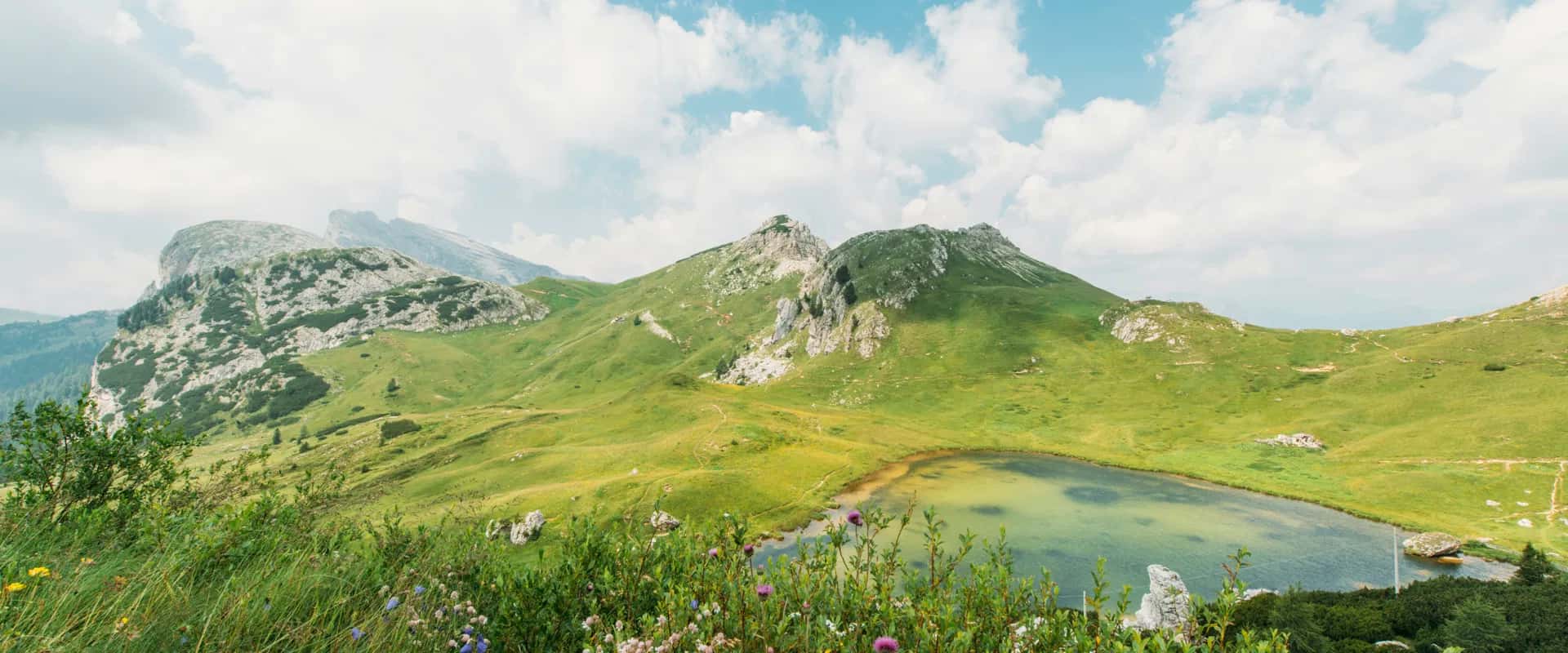 Product Release: Analytics Suite