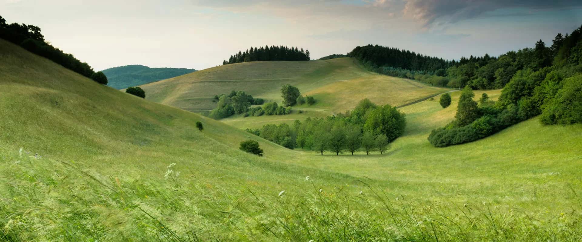 Scheduled Maintenance Notice