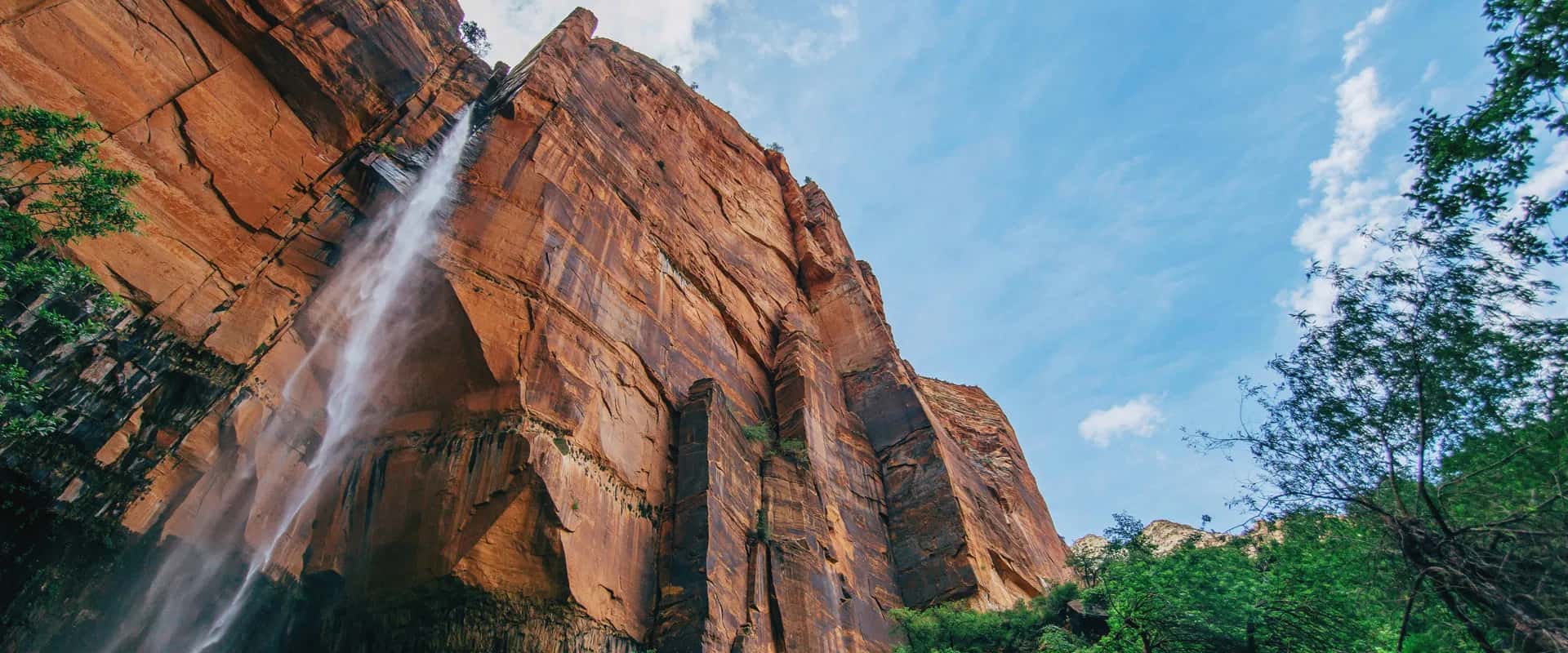 Introducing Our New Dashboard