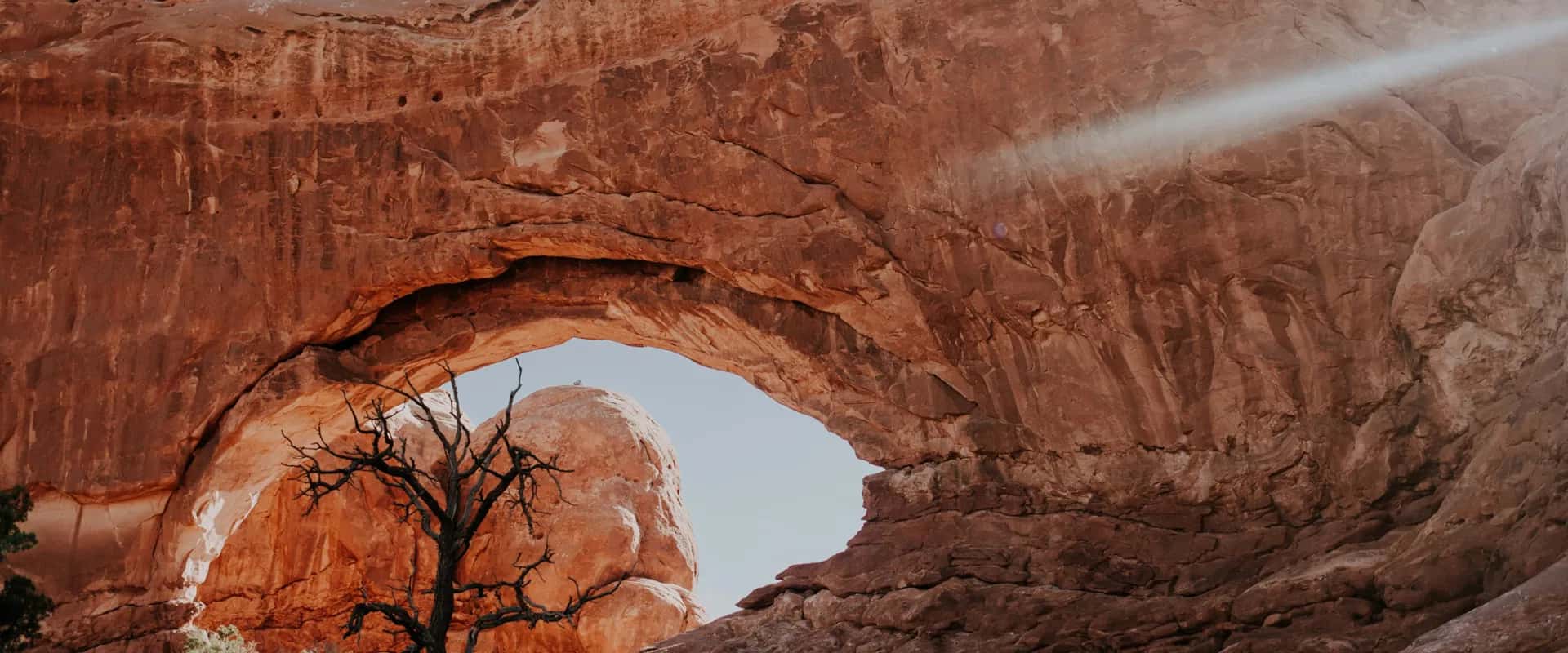 Happy Holidays from Our Team